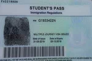 Stay back Visa in Germany