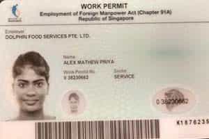 Fly to Abroad with Internship